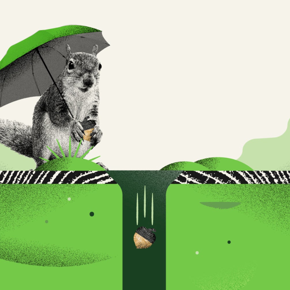 Image of New to Acorns: Emergency Savings! This new feature helps you set money aside for emergencies, separate from your investments or spending money. 